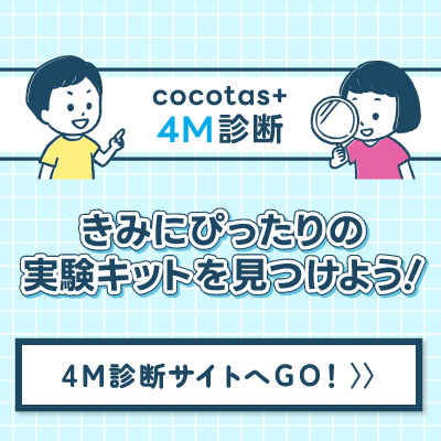 4Mキット診断