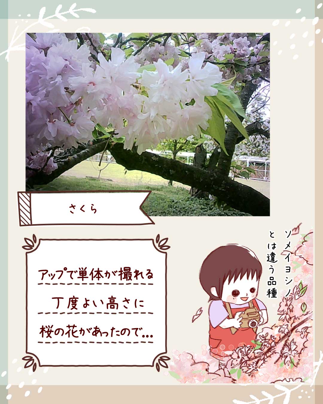 @kyoto_miyabi_2017 エピソード p.3