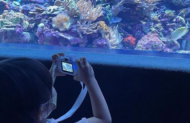 水族館でピントキッズで撮影する子ども