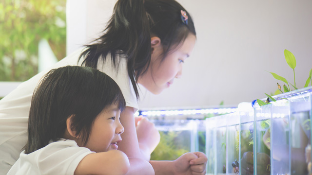 水槽を観察する子どもたち