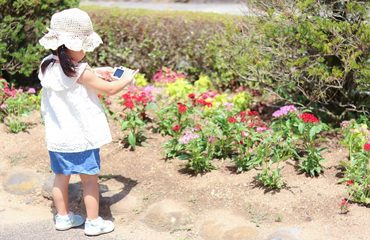 お花畑で植物をカメラで観察・撮影する子ども